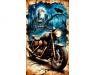 26